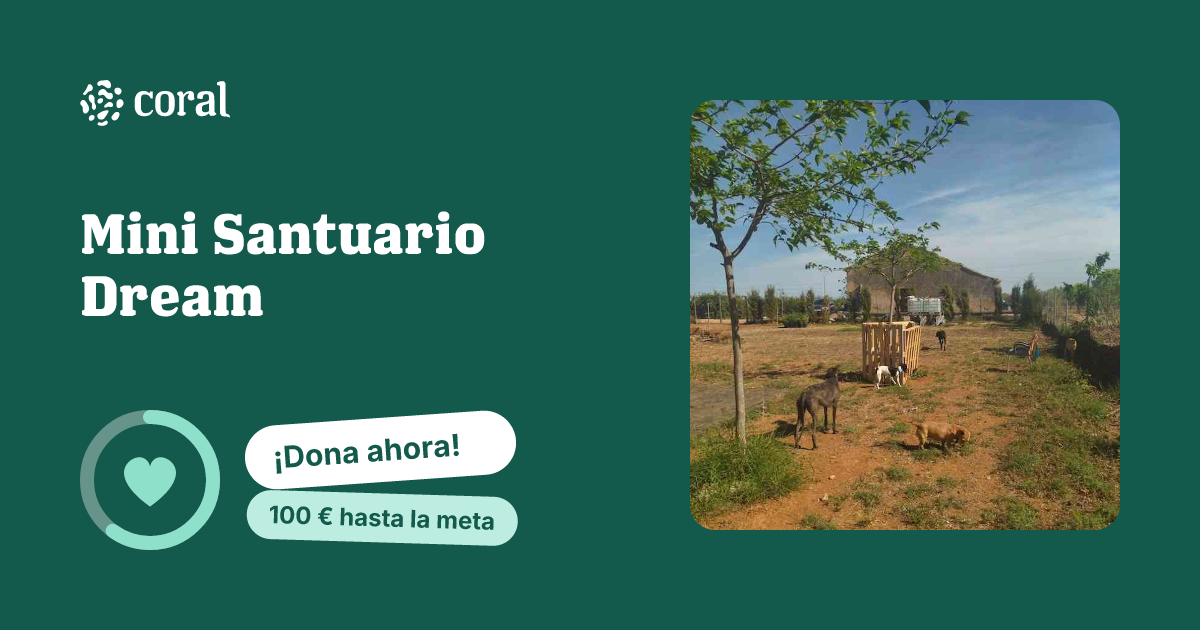 Vista previa de Mini Santuario Dream al compartir en redes sociales